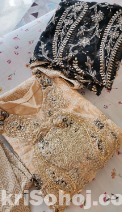 Pakistani Gorgeous party dress